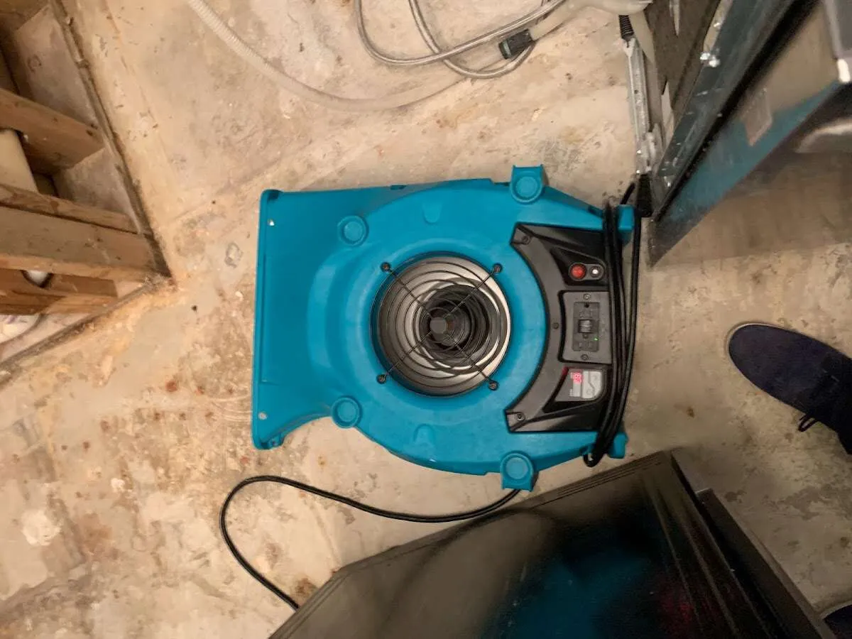 Air mover drying equipment for Mold Remediation & Removal in Delmar