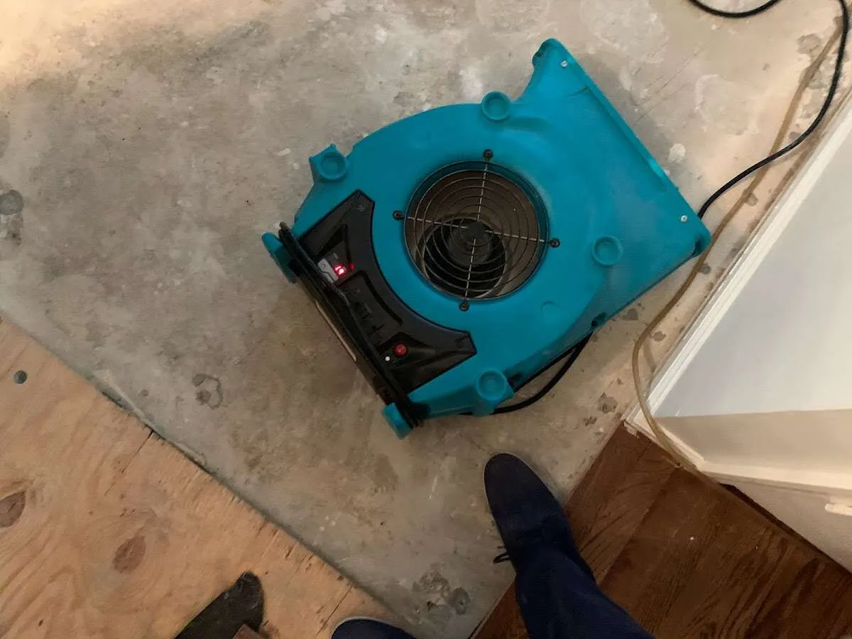 Air mover drying subfloor during Leak Detection & Repair in Delmar